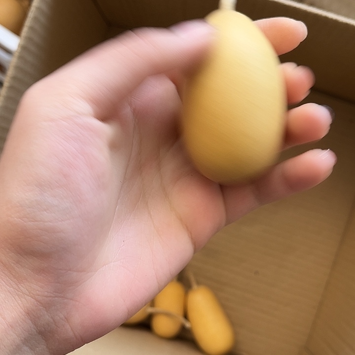 冬瓜漂亮厚皮葫芦