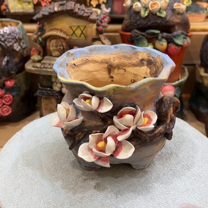 多肉花盆百搭百搭