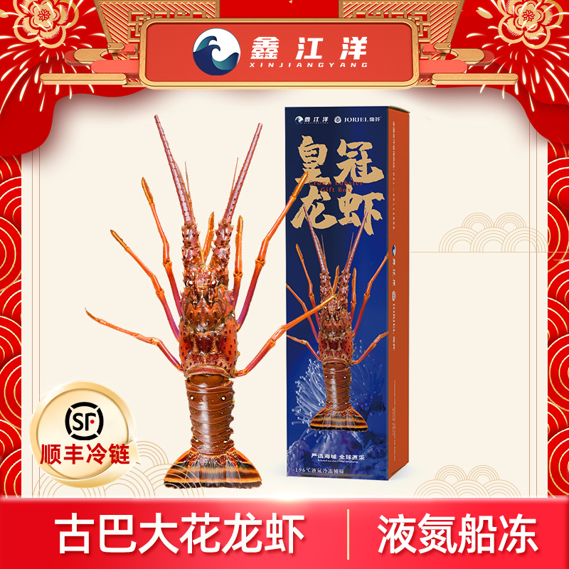 1古巴大花龙虾急冻锁鲜原汁原味新鲜美味1400g起 楼下