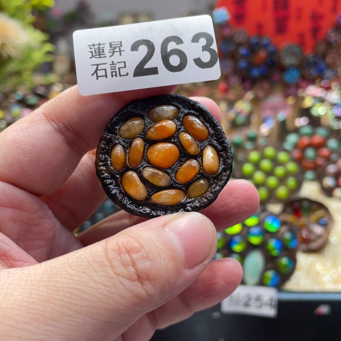 核桃木/黑胡桃（胡桃木）263