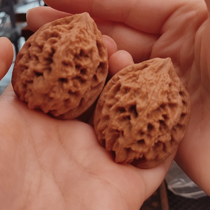 核桃39尺大沽石核桃