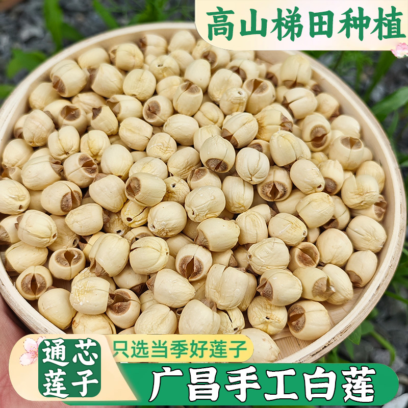【农家去芯手工莲子】新货广昌莲子干货无硫土白莲粉糯煮汤煲粥500g
