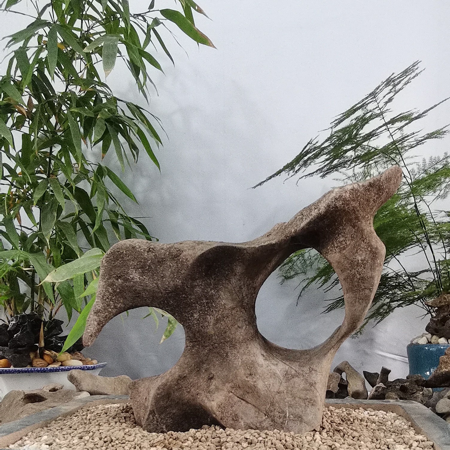 精品太湖石，附石，英石直播间截图一物一拍