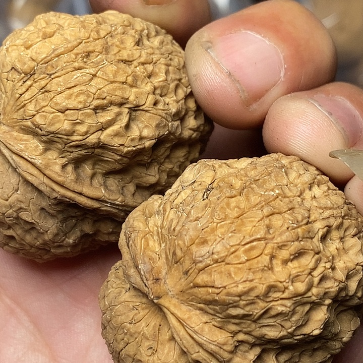 文玩核桃把件志成云铁文玩78