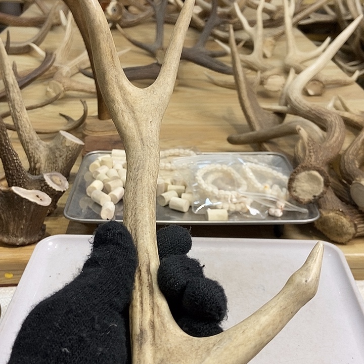 一***你大叶紫檀（黑酸枝木类）