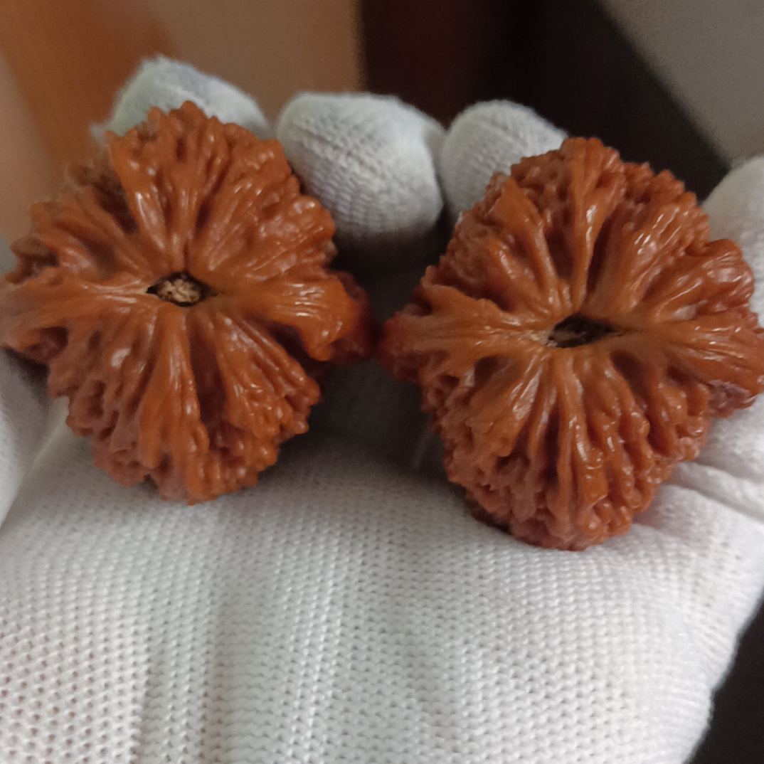 南疆石狮子头文玩核桃39