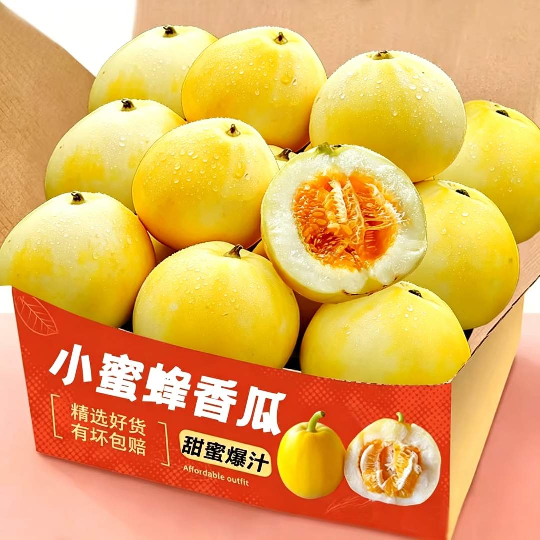 【头茬小蜜蜂】甜瓜星甜20正宗山东蜜罐甜瓜新鲜水果早甜脆密香瓜脆