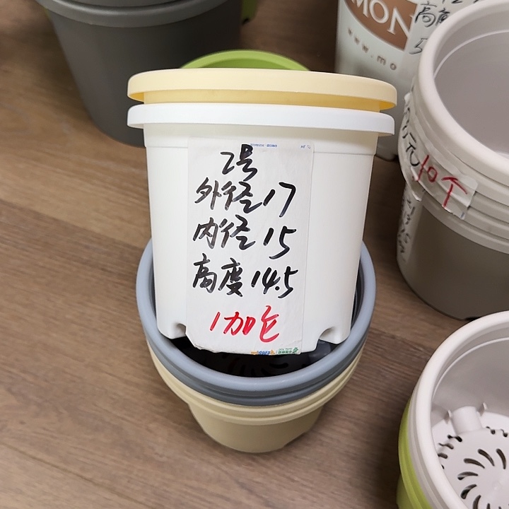 微瑕2#白色12个无托