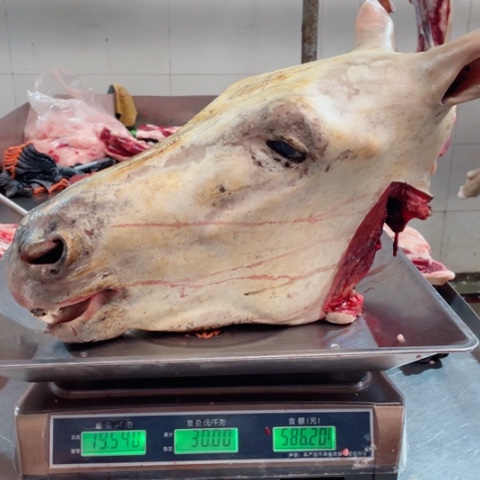 【闪购商品】冷冻保存30天包装河北省