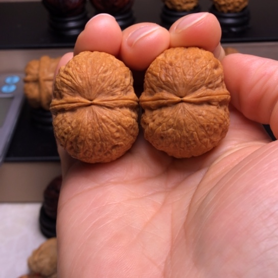 文玩核桃把件谷*生鹦鹉元宝21