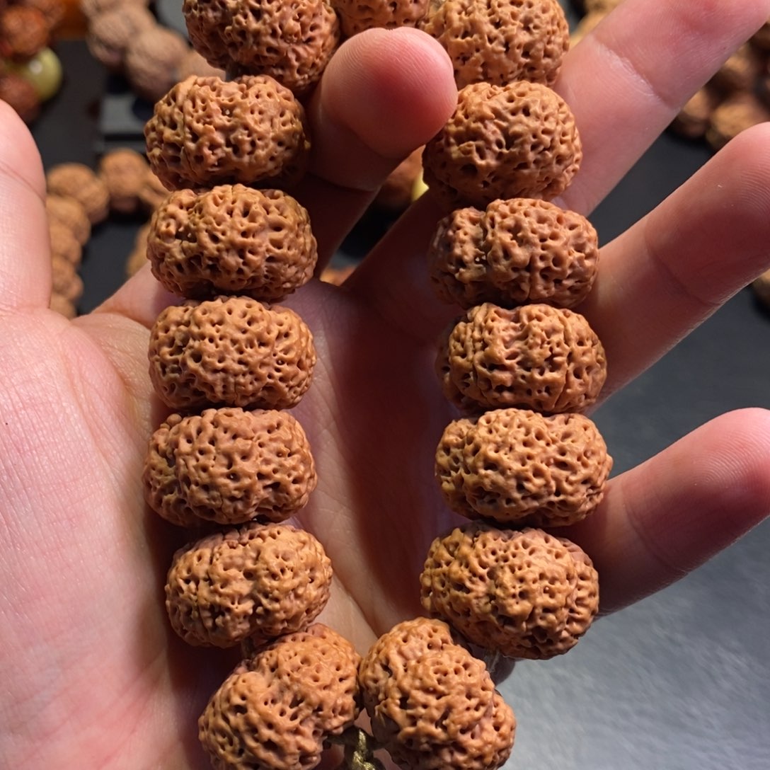 手串金刚菩提超顶帝王板