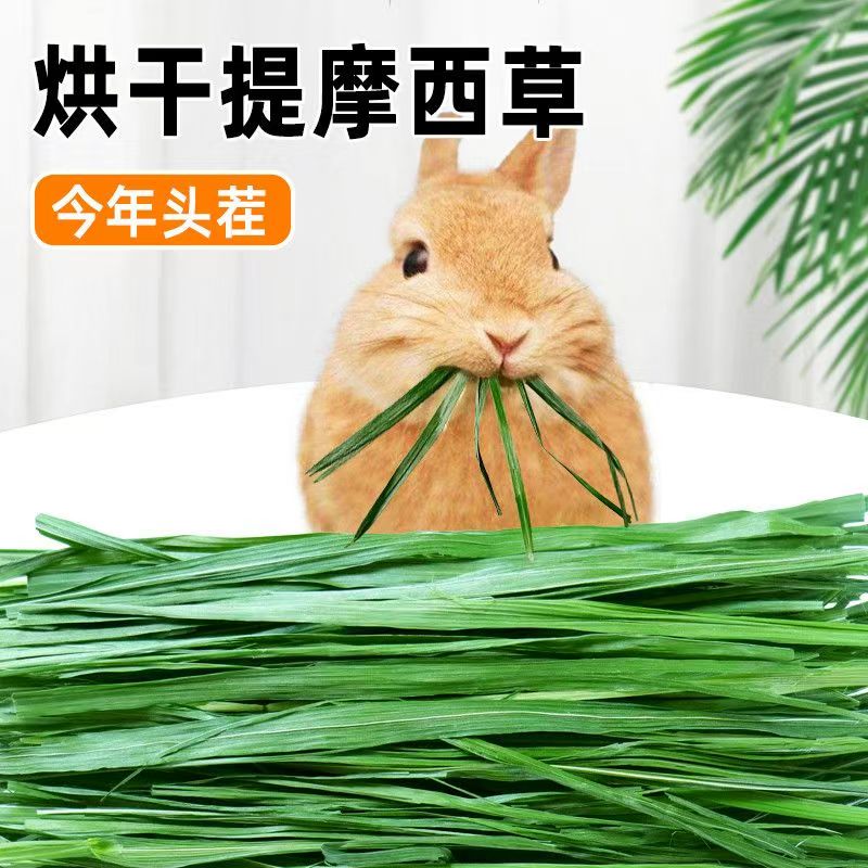 提摩西草烘干草兔子草料提摩西草段龙猫荷兰猪豚鼠草料