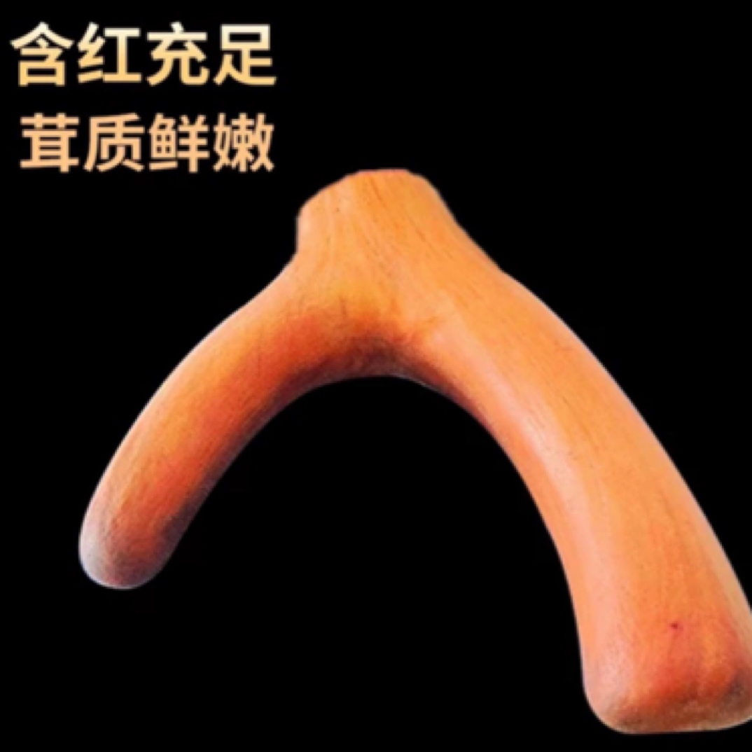 新鲜鹿茸枝 双阳鹿乡发货