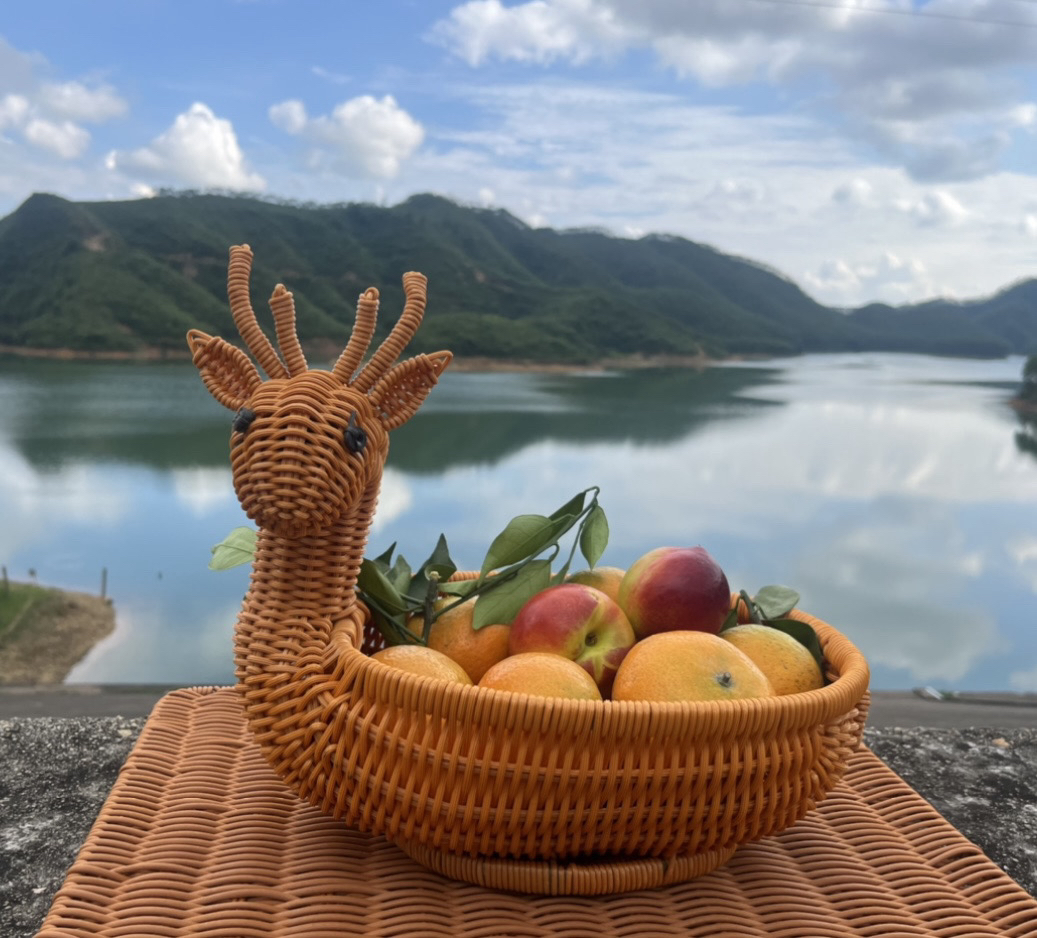 999棕色小鹿造型水果篮纯手工编织33*23*28