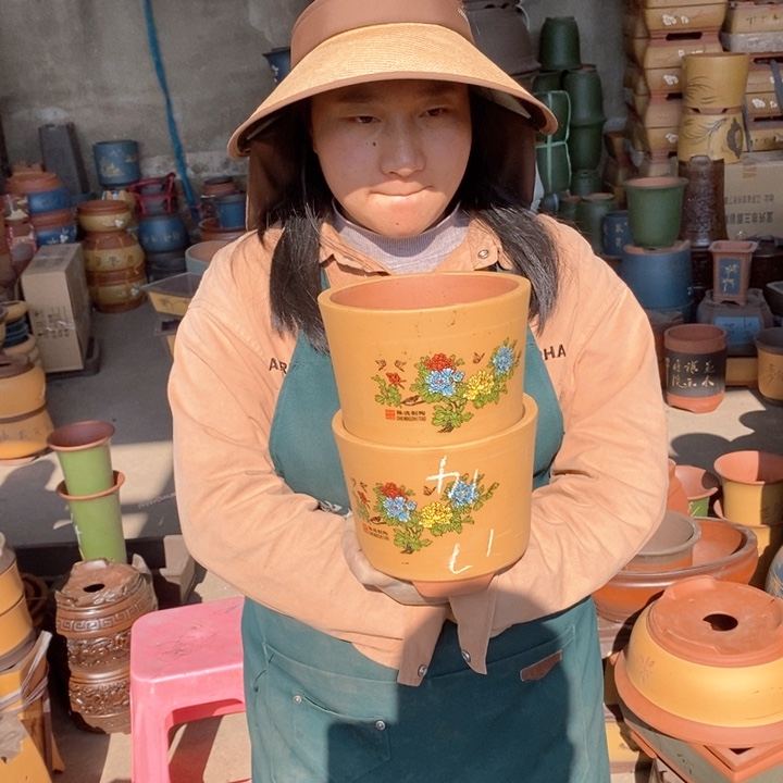 紫砂花盆盆栽花卉苗木种植