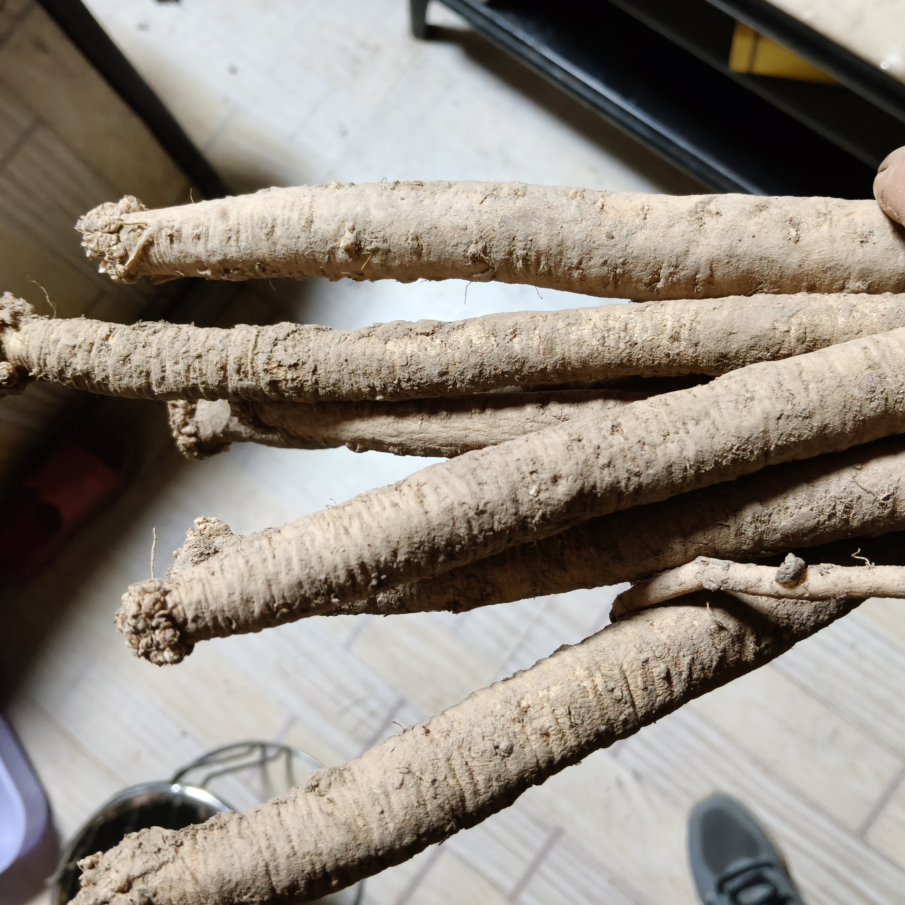 甘肃岷县野生大条党参，无硫无熏，煲汤炖肉泡8+1泡水煮水产地直发，