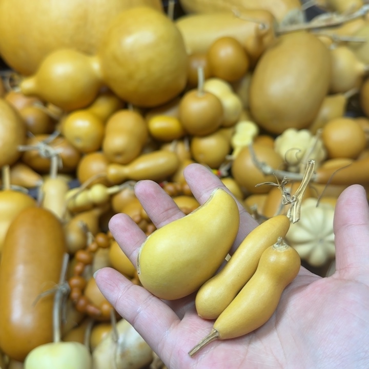 上****竹类三把异型葫芦