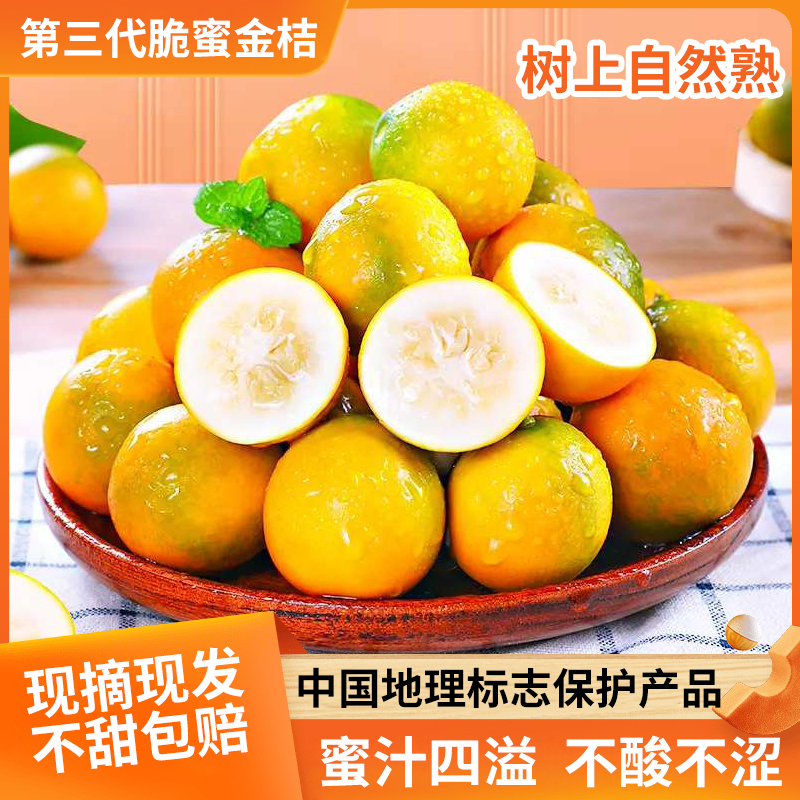【三代脆蜜】正宗广西脆蜜金桔 纯甜爆汁 新鲜采摘应季水果