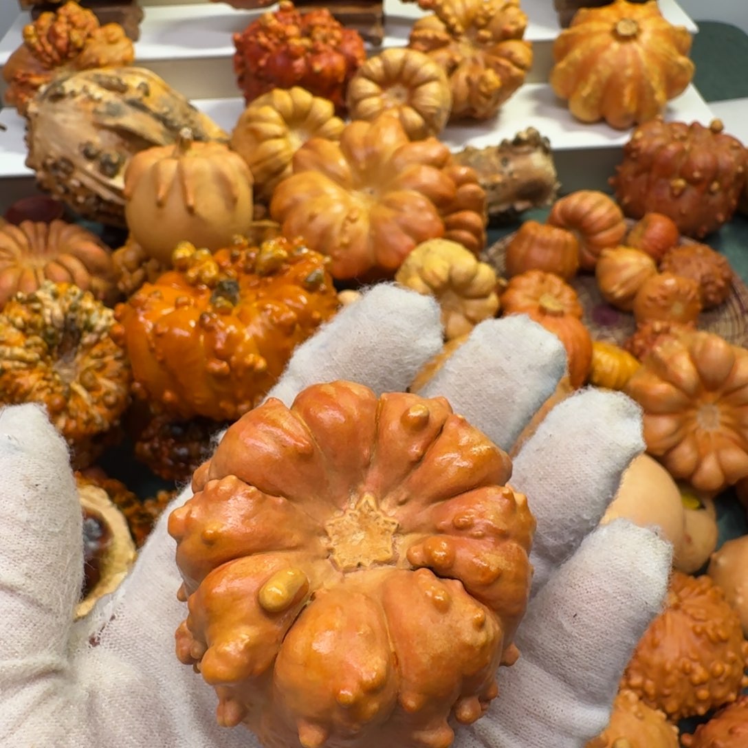 伊***麻墨西哥七彩葫芦罐子