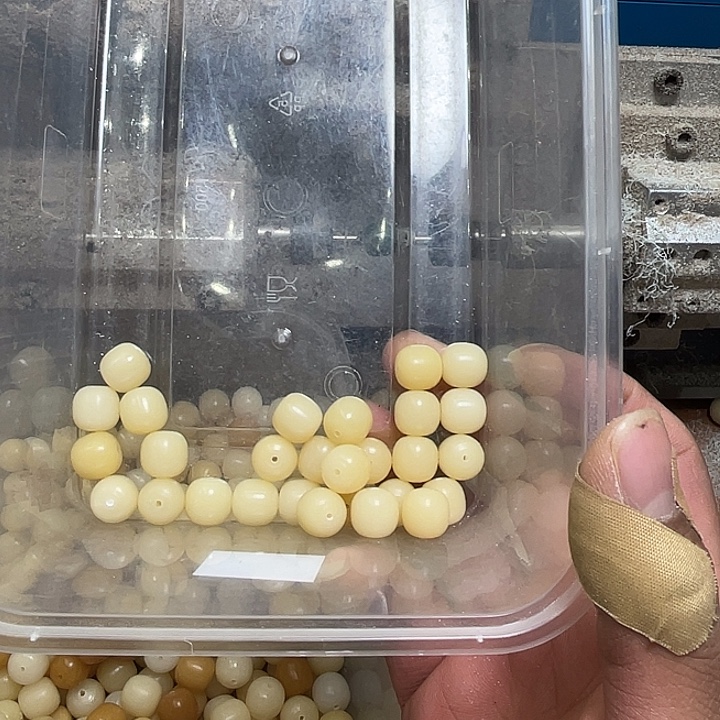 手串菩提根/象牙果