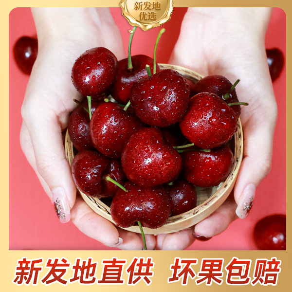 【头茬海运】智利海运桑提娜车厘子3JD/4JD5斤原箱新鲜内附果径卡桑提娜樱桃智利共和国