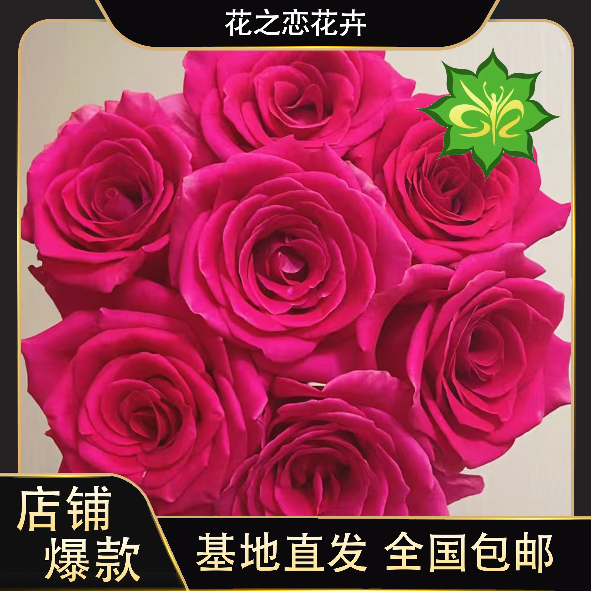 弗洛伊德玫瑰  居家办公优选（东北基地直发）