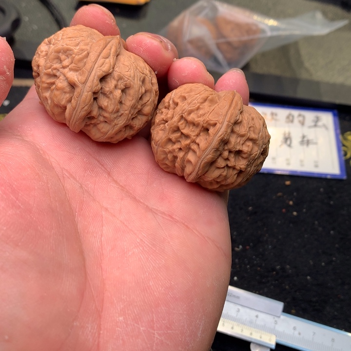 文玩核桃把件46号41全品元宝