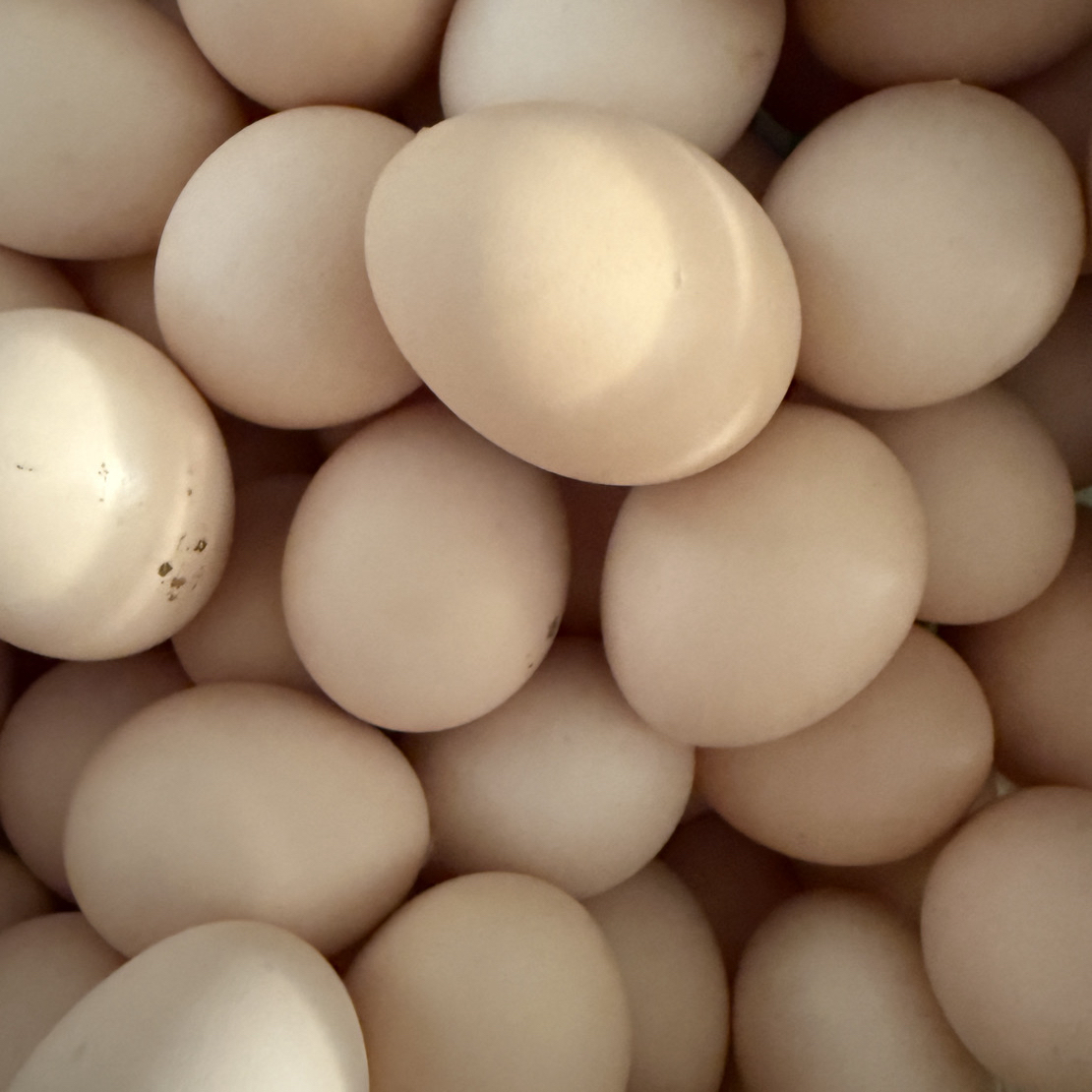 新余农特产 发京东快递