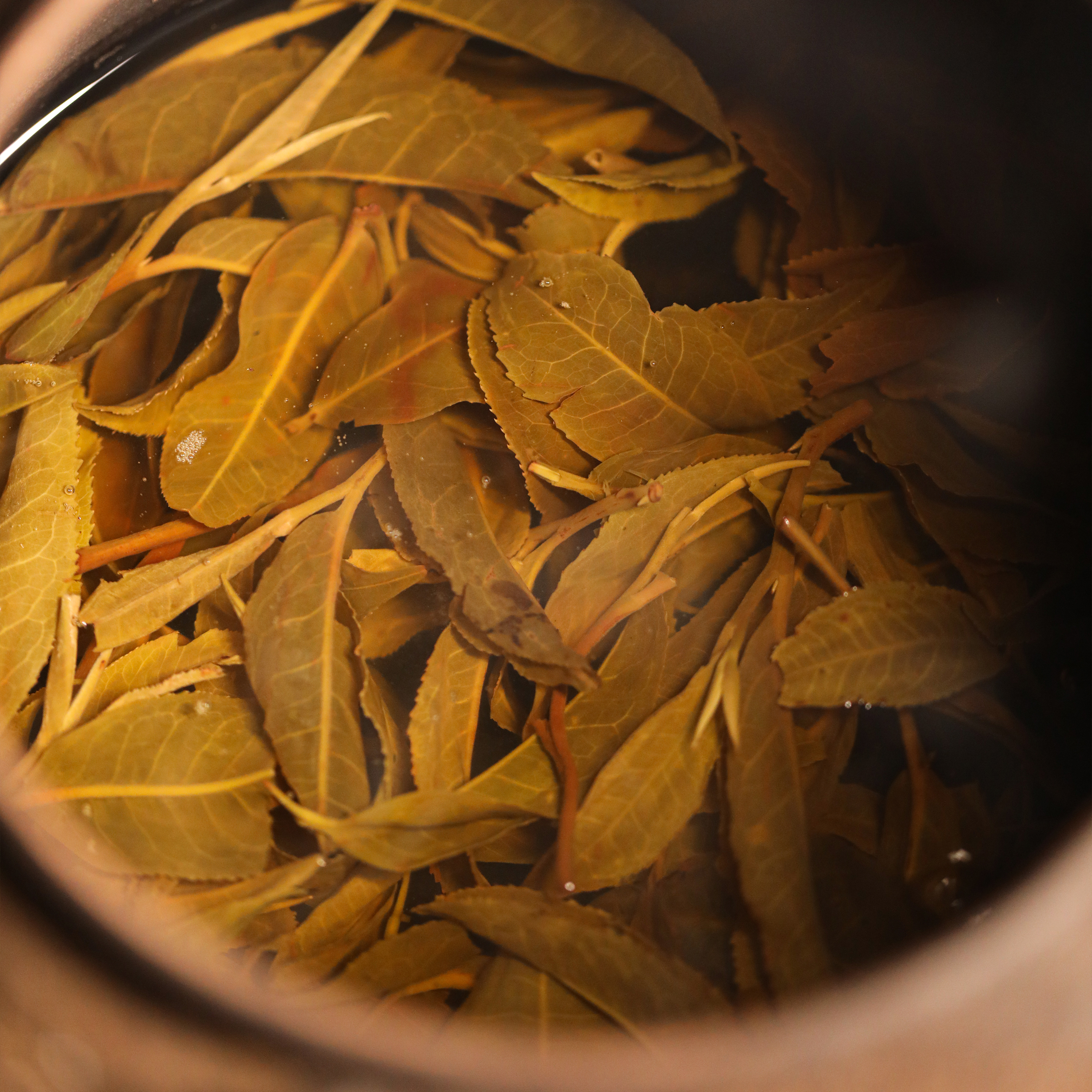 2000年普洱方茶100g  普洱茶  熟茶  通用链接