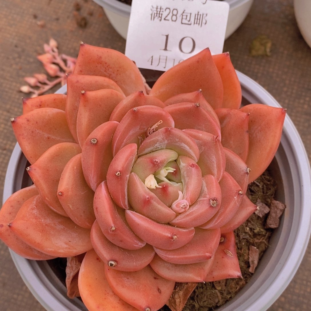 云10号到了太原联系好联系