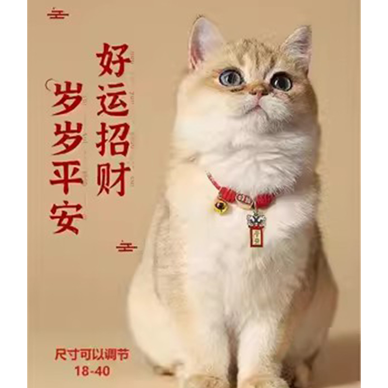 猫咪项圈狗狗脖圈脖饰宠物围脖装饰品专用项链小型犬铃铛脖子颈饰