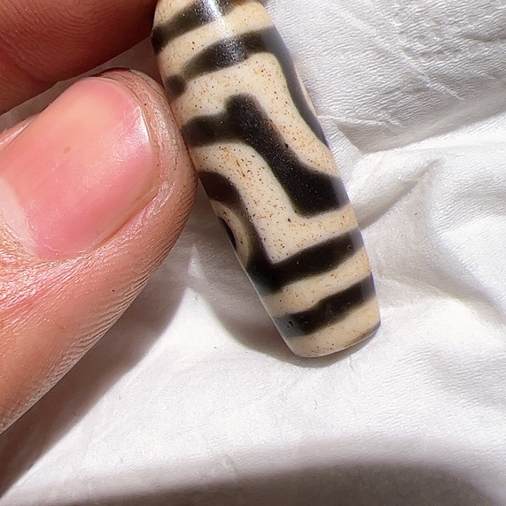 香榧木在这里的时候