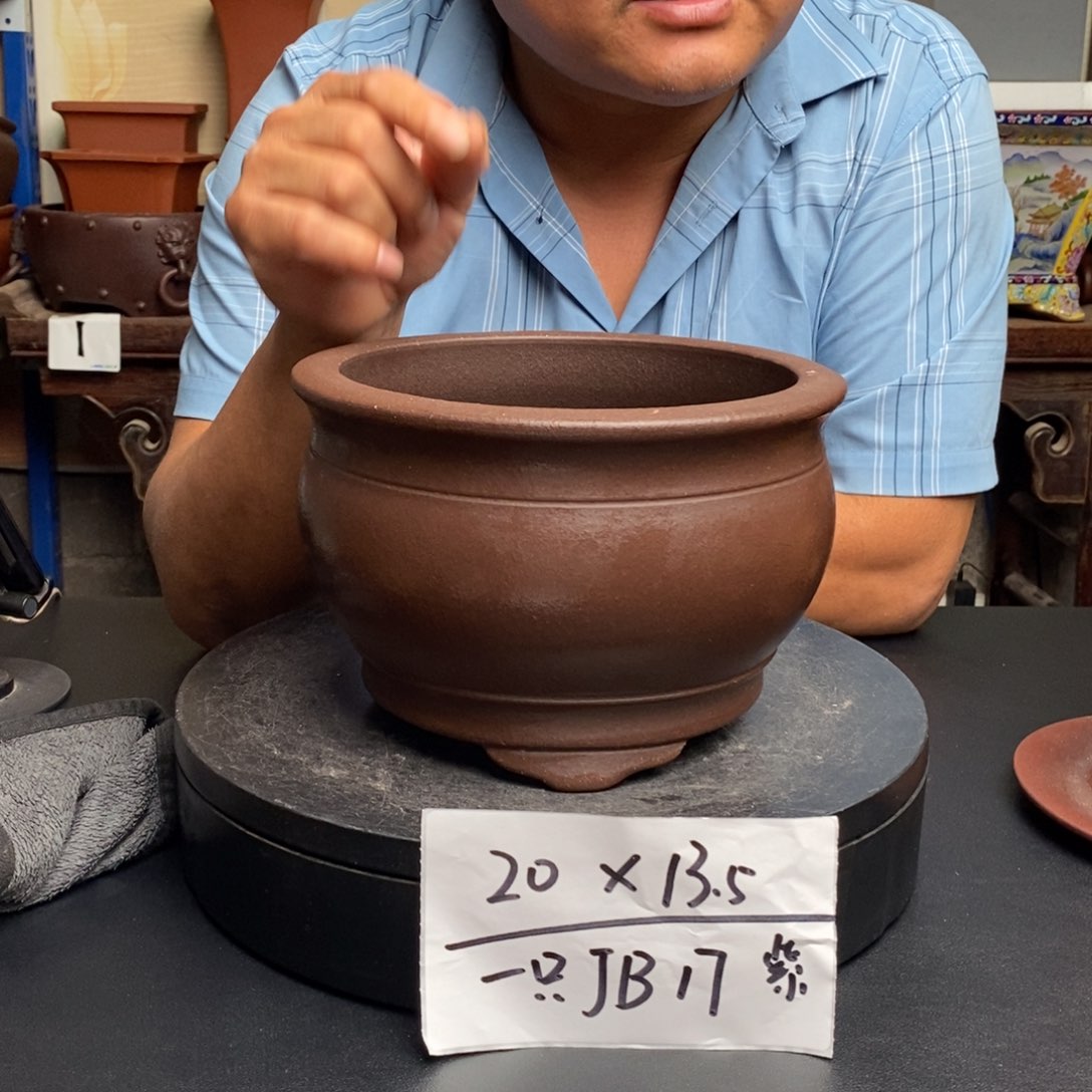 紫砂货号一只JB17子