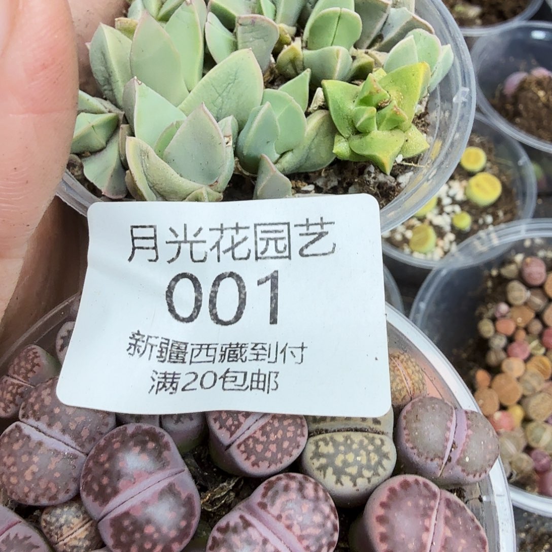 是一个不想被爱包围001这个