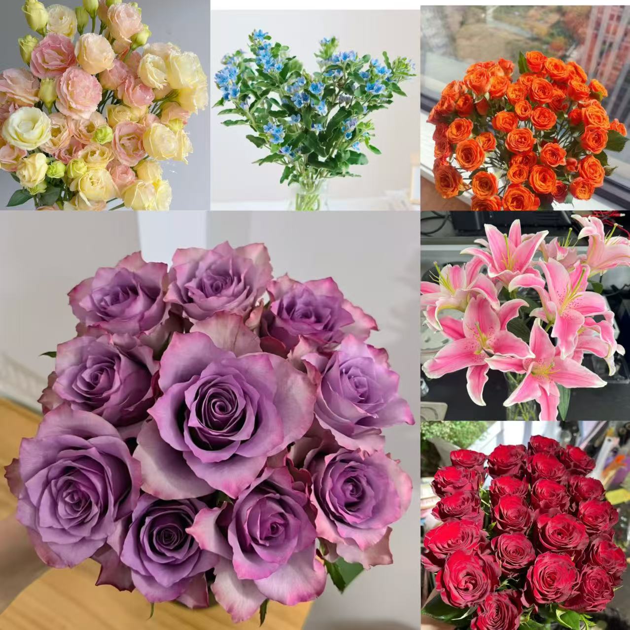 【红玫瑰紫玫瑰鲜花组合】云南基地直发家居摆件鲜切花