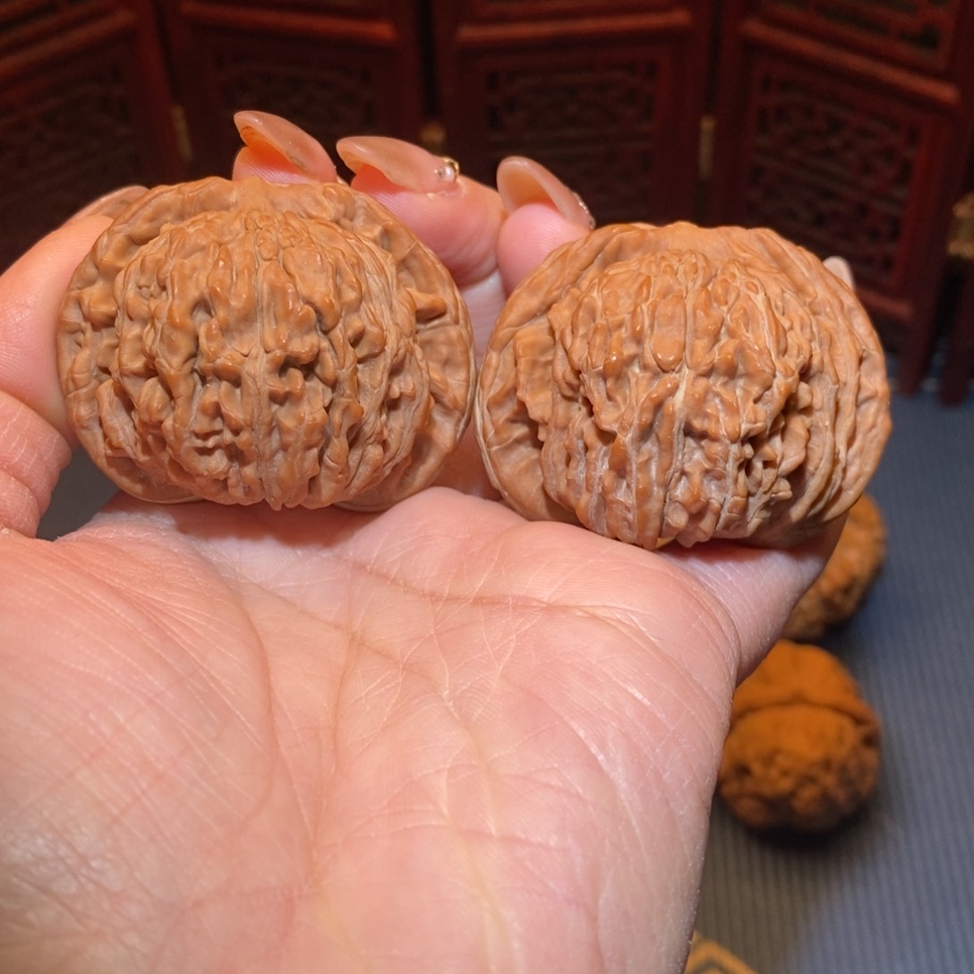 48全品四座楼精配大尺寸