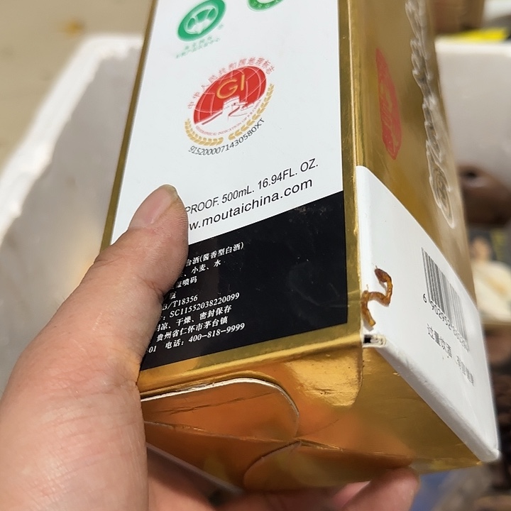 枫***林扇子fygggggggvvvvg