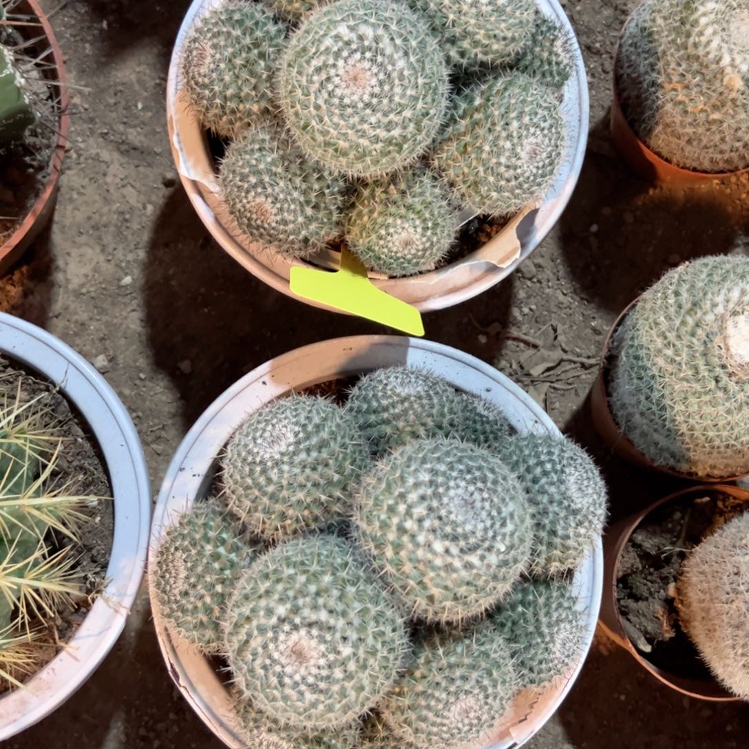 江****哈哈哈哈哈哈哈哈哈哈哈哈