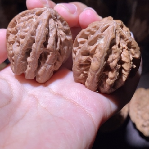 把件文玩核桃东北野生楸子小园 102