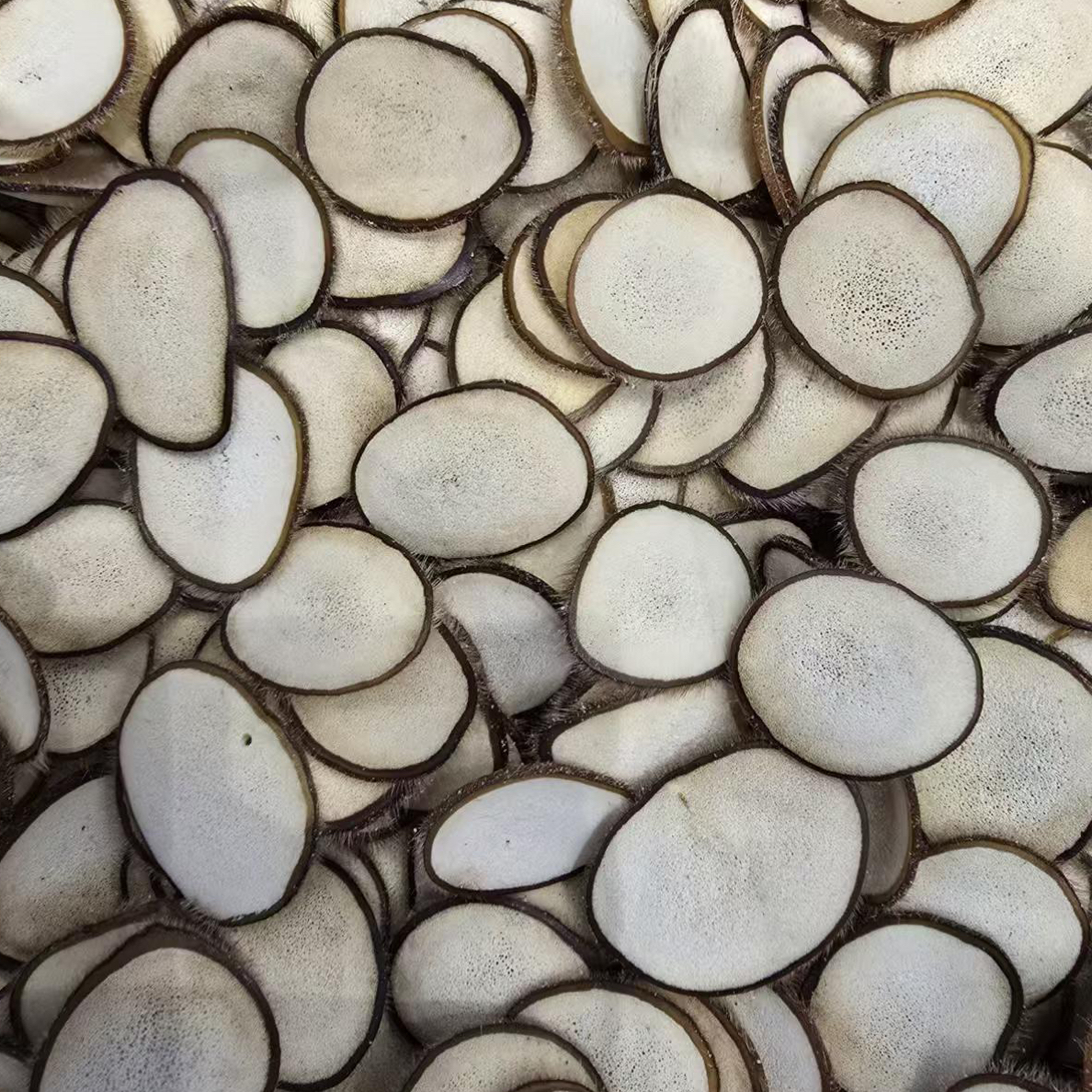 鹿茸片排血白粉片