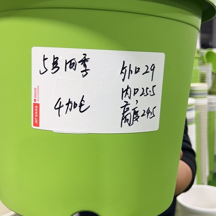 特价四季5号口29高24白色5只无托