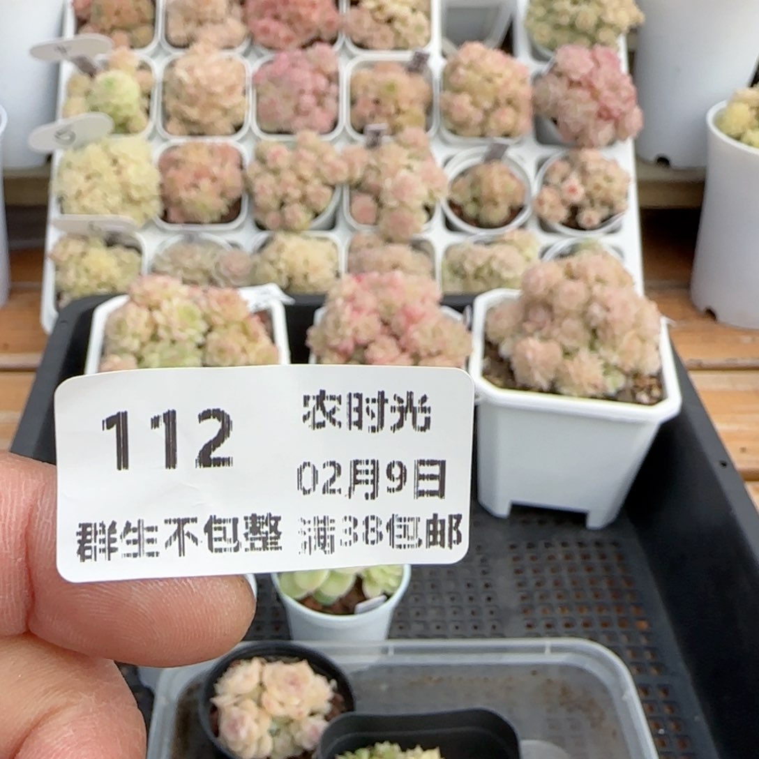 原****啊【闪购商品】0209-112打包（散的