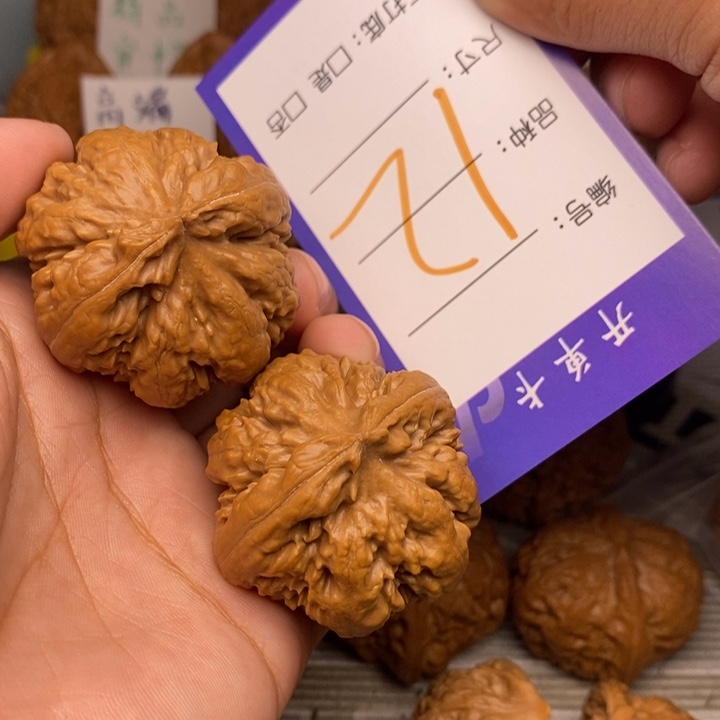 吊坠文玩核桃信*12号霸王龙
