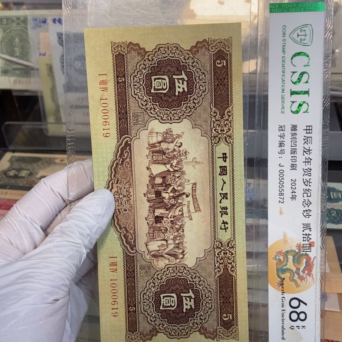 黄五619……………………………………