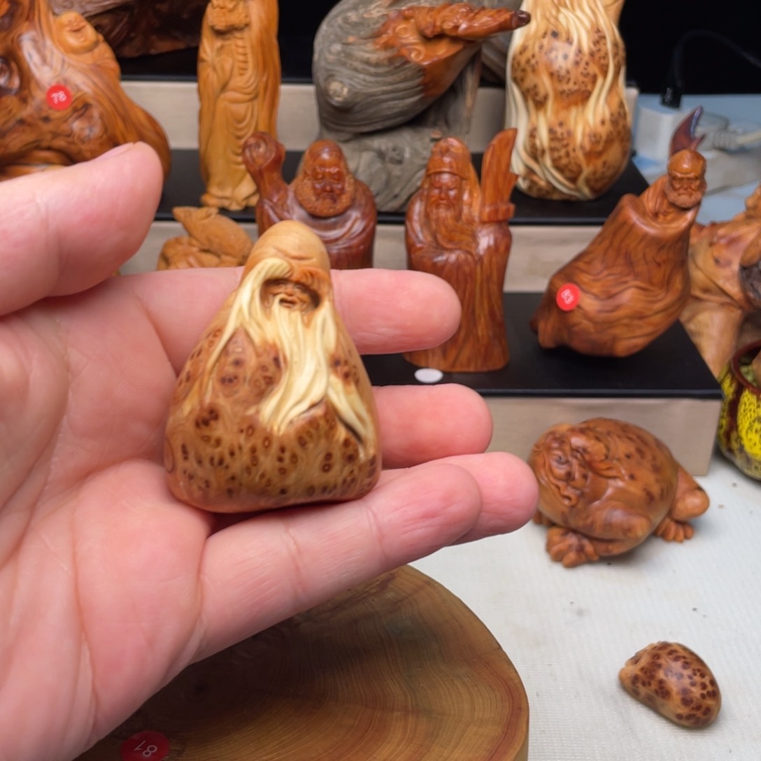 柏木255555655555555555