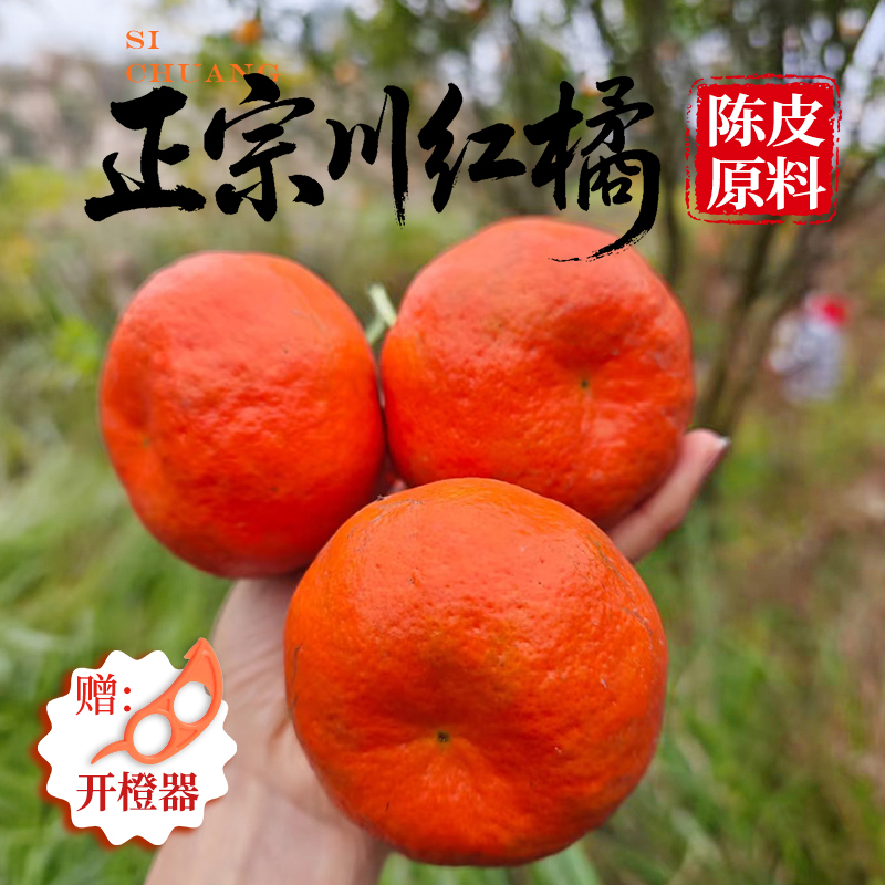 正宗四川红橘大红袍红桔子新鲜水果陈皮原料老树古川红橘子孕妇