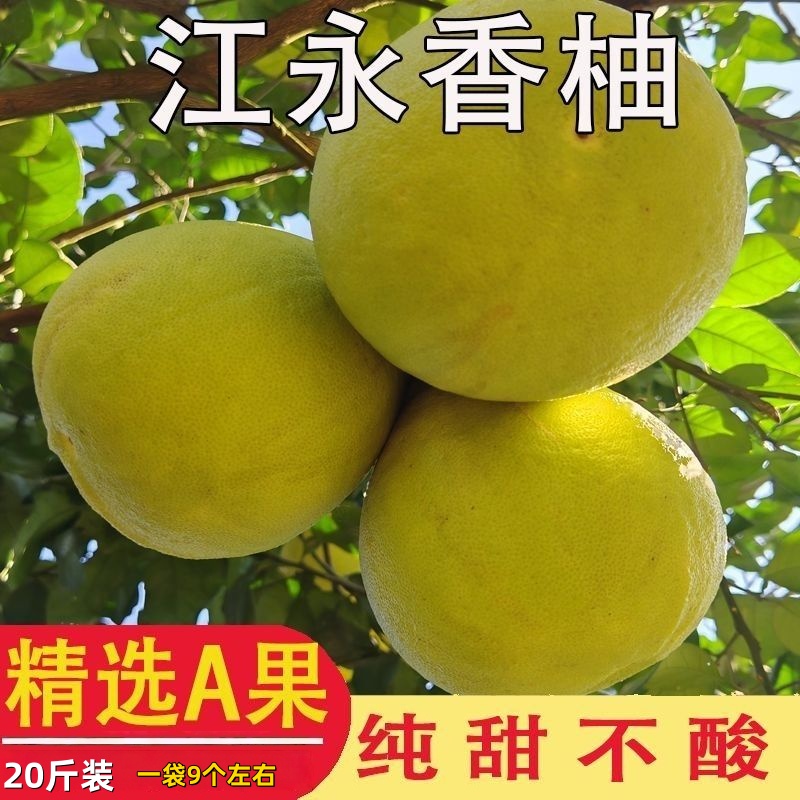 30年老树柚子江永香柚子沙田柚当季新鲜水果农家自种香甜多汁纯甜