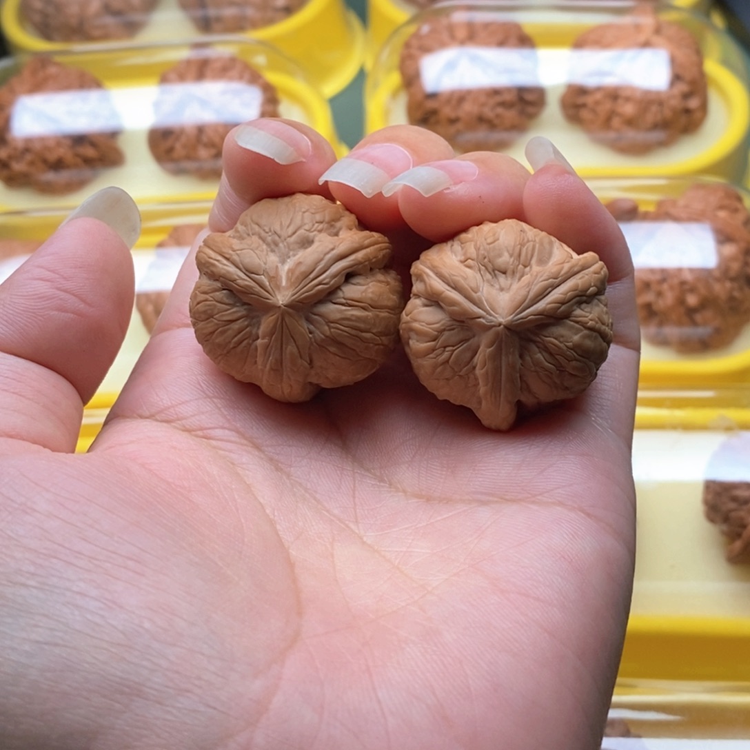 文玩核桃把件乾坤元宝奔31