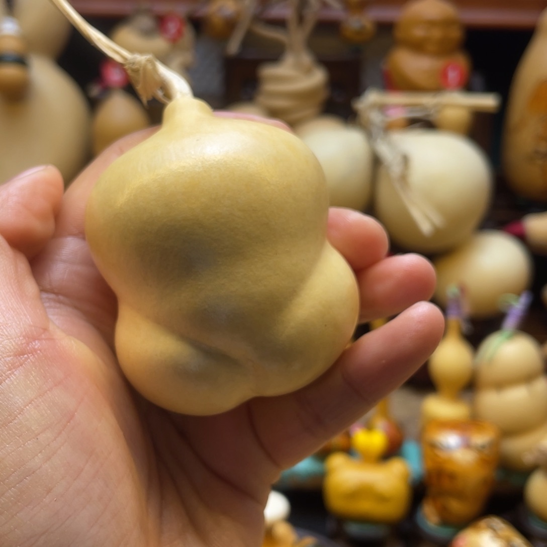 胖**胖葫芦等经济林木的生长繁殖方式为