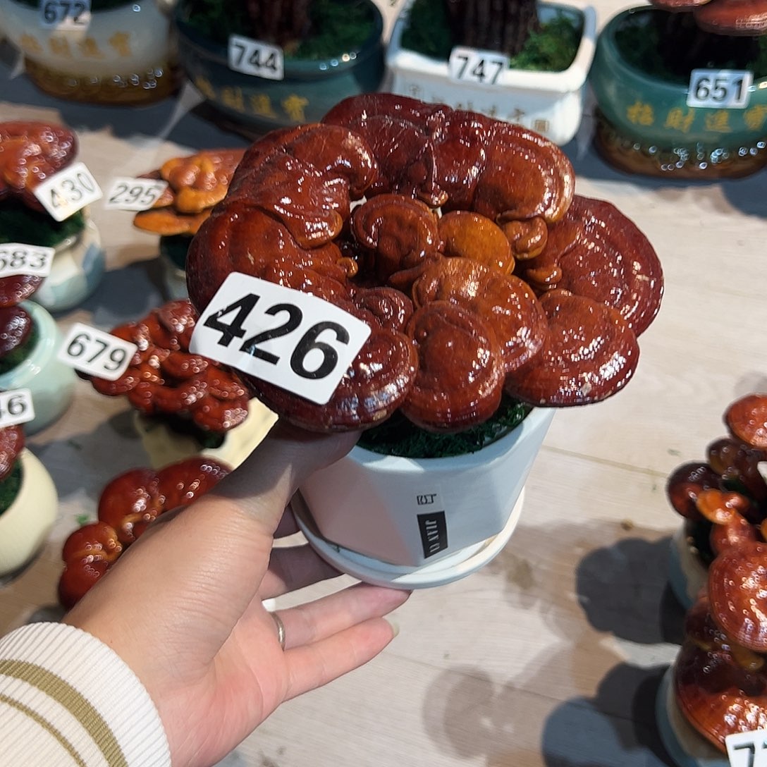 杨***脚无花朵8888888888